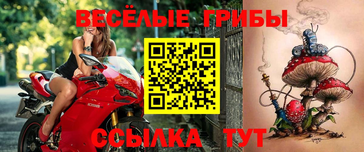 Псилоцибиновые грибы GOLDEN TEACHER Майкоп